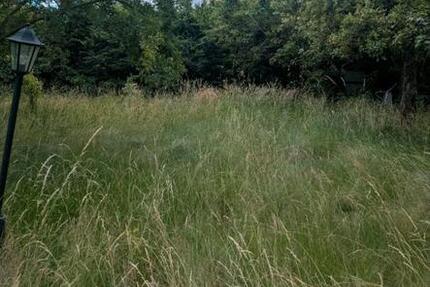 Grundstück Braunschweig Lehndorf-Watenbüttel - 1.250&euro; | Angebot:25303788