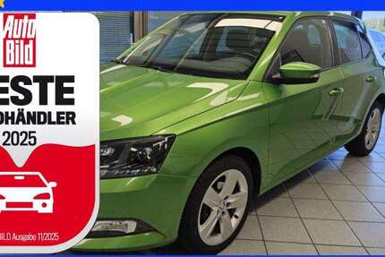 Skoda Fabia 120.262 km 7.400 € Wolfsburg Heiligendorf 38444
