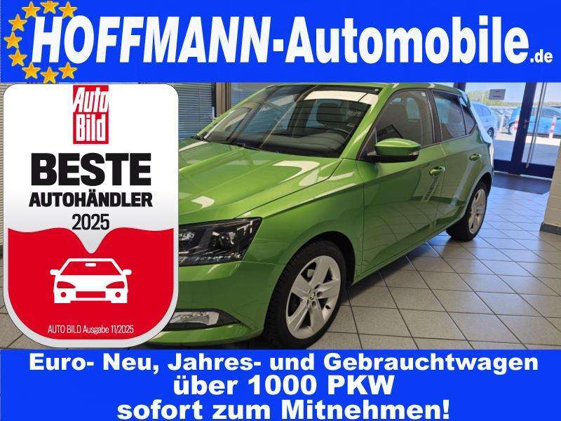Skoda Fabia 120.262 km 7.400 € Wolfsburg Heiligendorf 38444