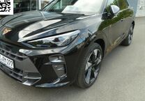 Gebrauchtwagen Cupra Terramar