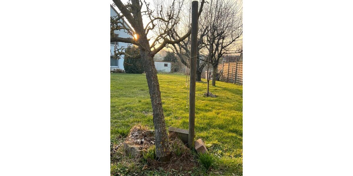 Mehrfamilienhaus, Wohnhaus Königslutter am Elm - 8.5 Zimmer, 240 m&sup2;, 210.000&euro; | Angebot:26019605