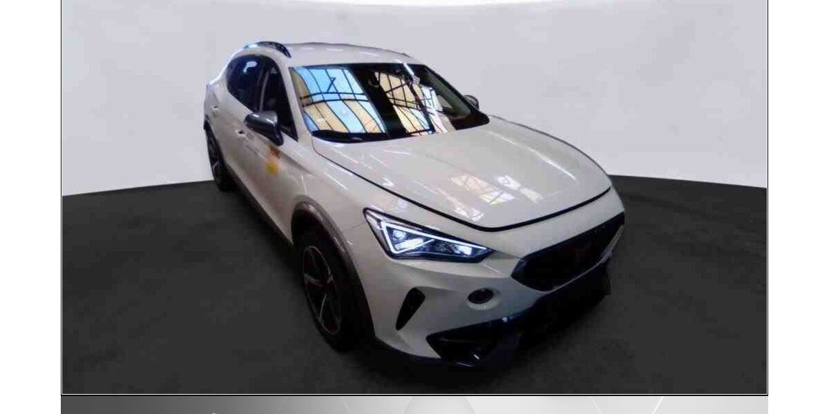 Cupra Formentor 33.333 km 24.970 &euro; Helmstedt 38350