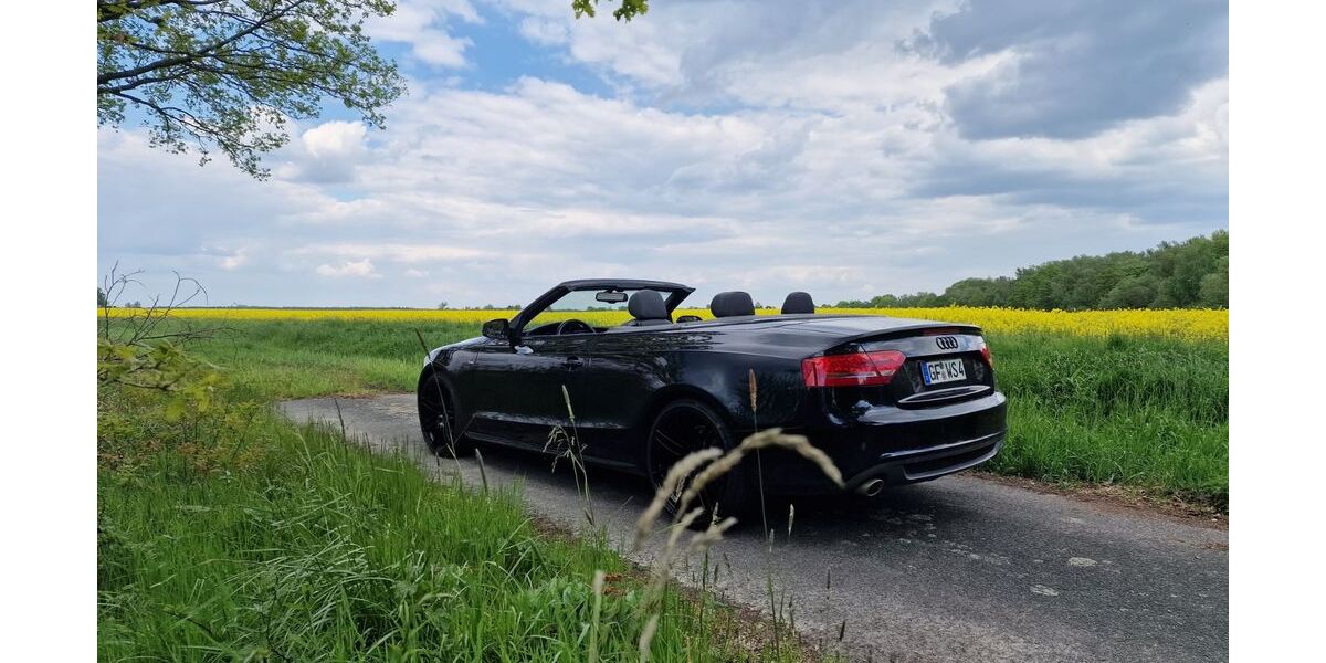 Audi A5 179.000 km 14.990 &euro; Weyhausen 38554