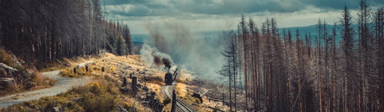 Brockenbahn und Harz als Ausflugsziel
