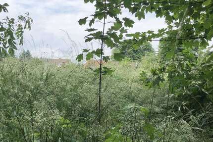 Grundstück zu verkaufen in Offleben 399.000 € 7723 m² zimmer