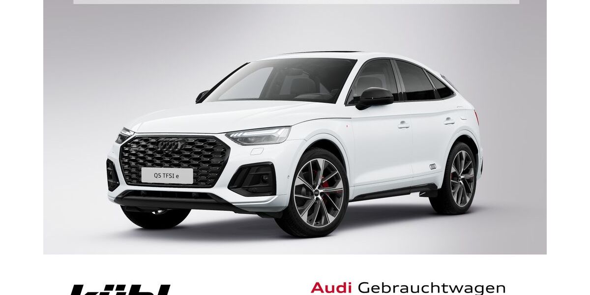 Audi Q5 113.710 km 33.480 &euro; Gifhorn 38518