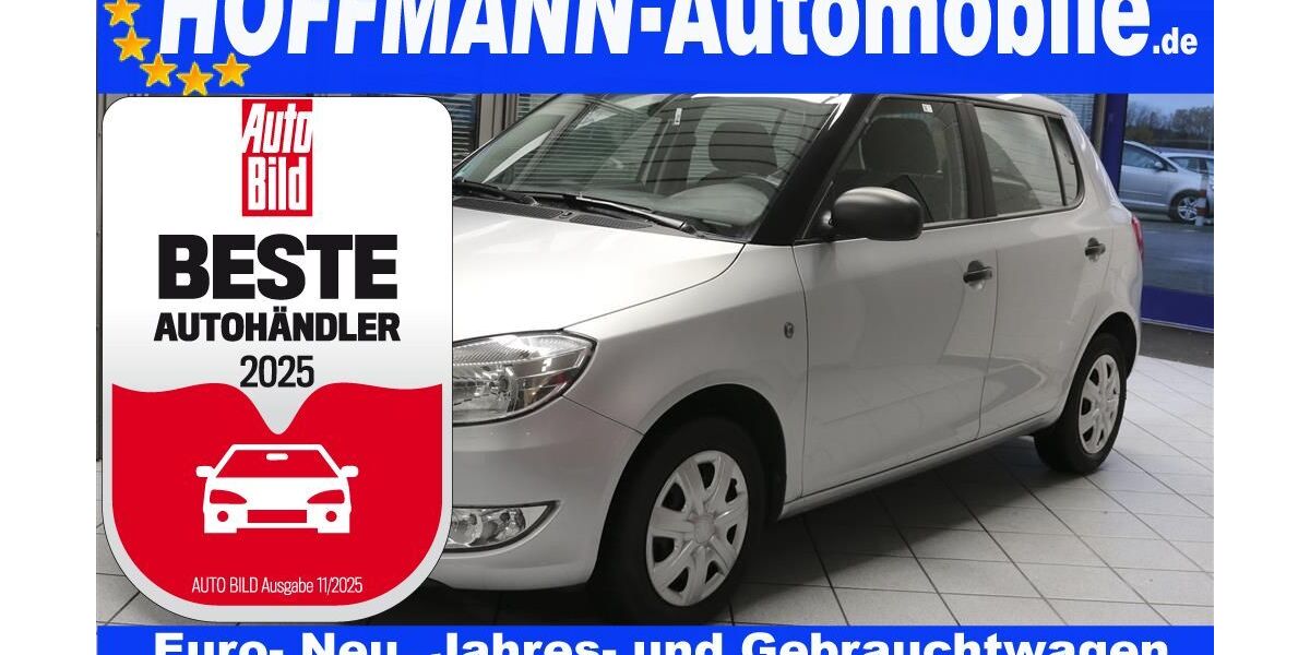 Skoda Fabia 174.600 km 2.700 € Wolfsburg-Heiligendorf 38444