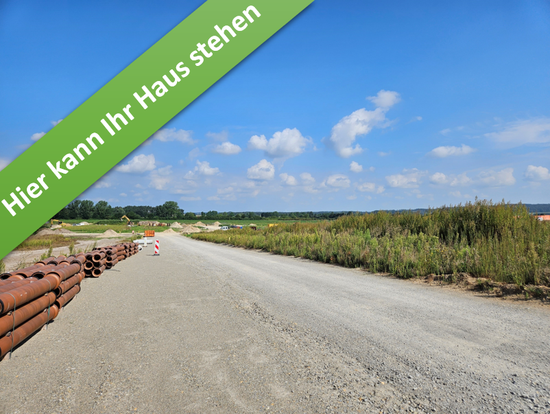 Haus zum Kaufen in Königslutter 429.150 € 142 m²