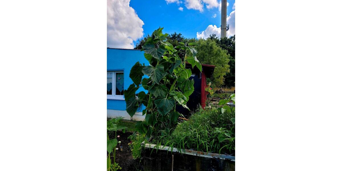 Grundstück Wolfsburg - 1.950&euro; | Angebot:26039327