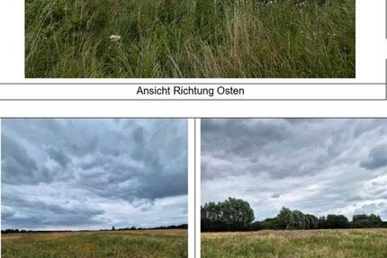 Grundstück Wolfsburg - 325&euro; | Angebot:24960925