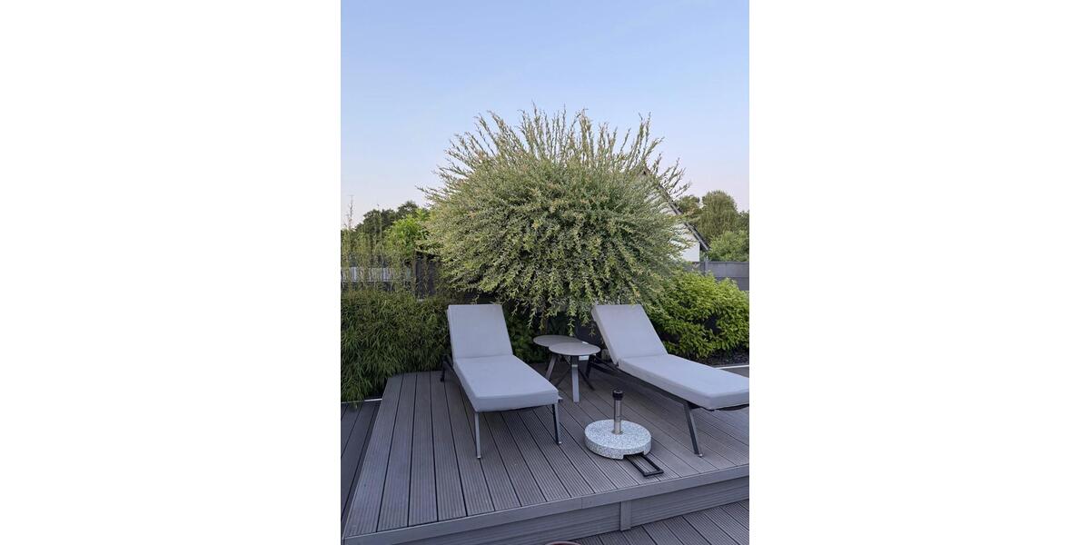 Einfamilienhaus Wolfsburg Almke - 6 Zimmer, 240 m&sup2;, 890.000&euro; | Angebot:26995776