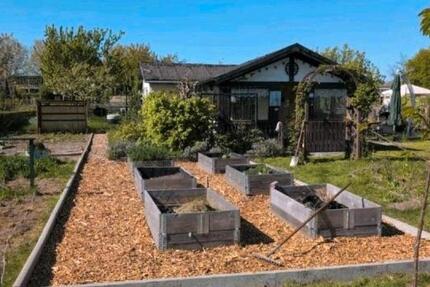 Grundstück Braunschweig Östliches Ringgebiet - 2.050&euro; | Angebot:24537591