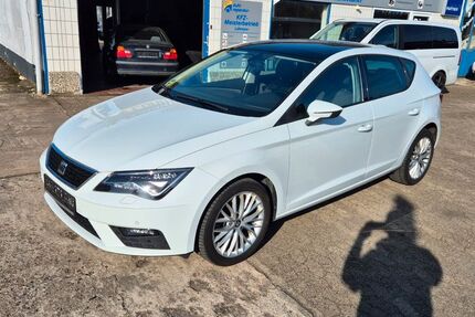 Seat Leon 174.989 km 9.995 &euro; Hillerse 38543
