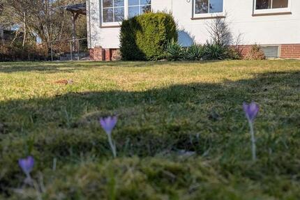 Wohnung Gifhorn - 2.5 Zimmer, 61 m&sup2;, 580&euro; | Angebot:25378883