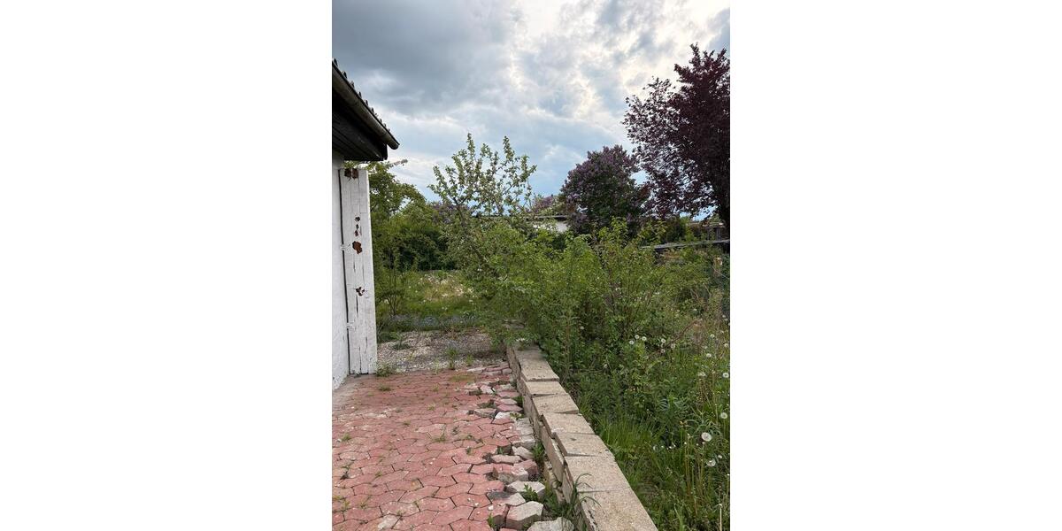 Grundstück Braunschweig Nordstadt - 290&euro; | Angebot:26580097