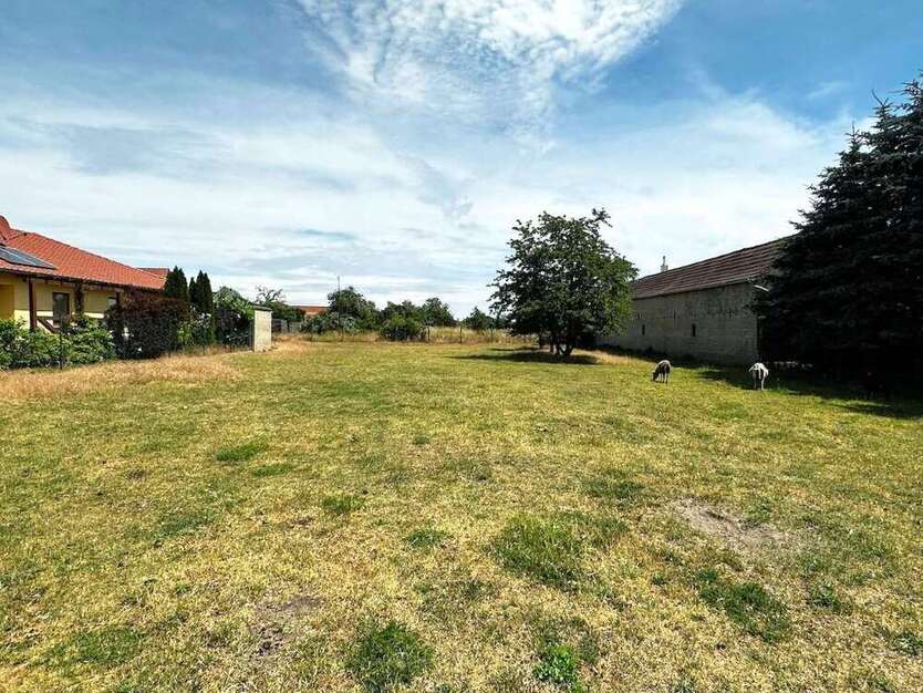 Grundstück zu verkaufen in Trippigleben 195.000 € 19285 m²