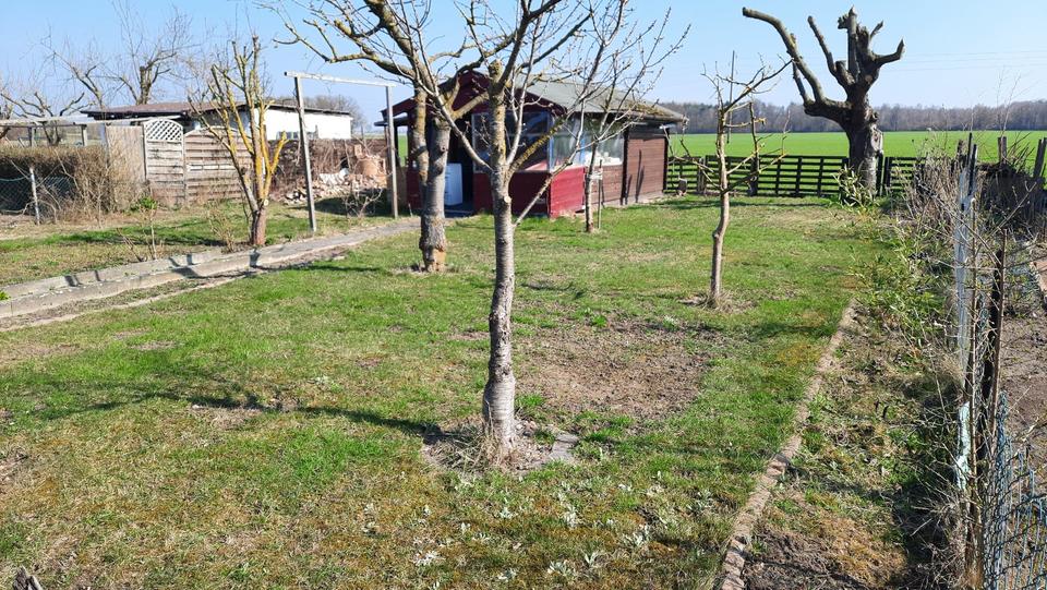 Grundstück Meine - 1.000&euro; | Angebot:26170648