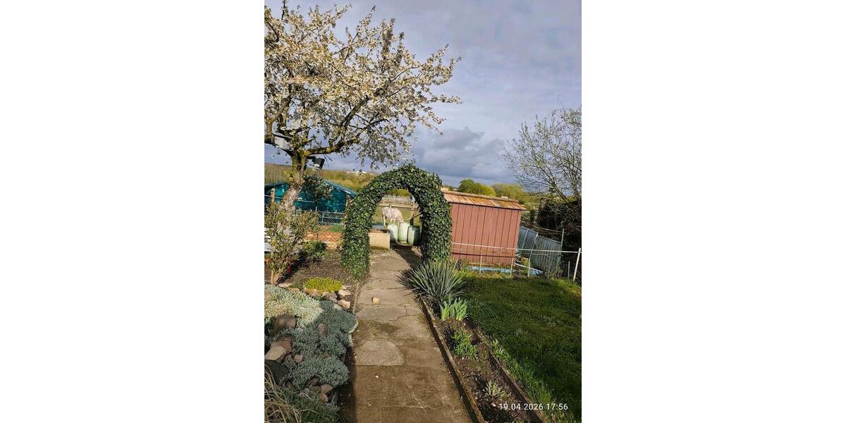 Grundstück Braunschweig Östliches Ringgebiet - 1.700&euro; | Angebot:26229083