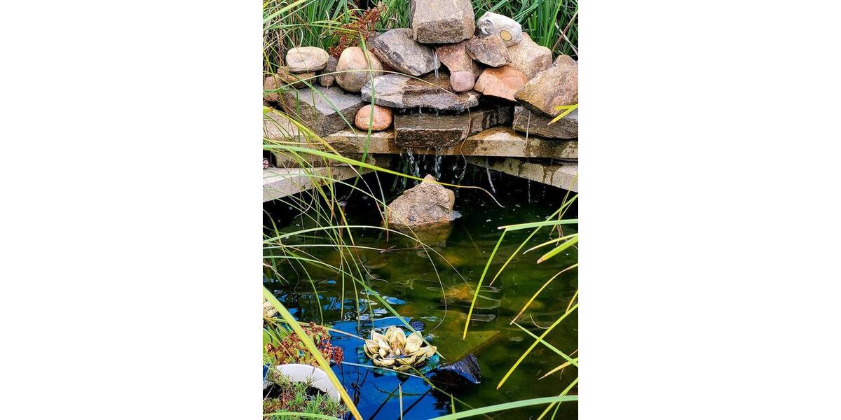 Grundstück Wolfsburg - 1.950&euro; | Angebot:26039327