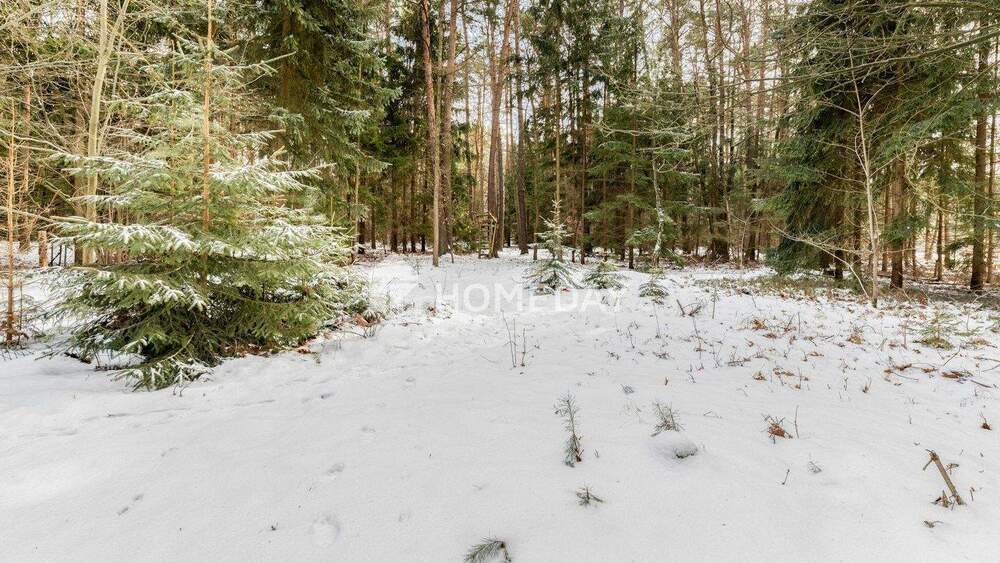 Einfamilienhaus Sassenburg Stüde - 3 Zimmer, 45 m&sup2;, 169.000&euro; | Angebot:25820405