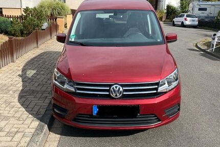 VW Caddy 73.000 km 18.497 € Gifhorn 38518