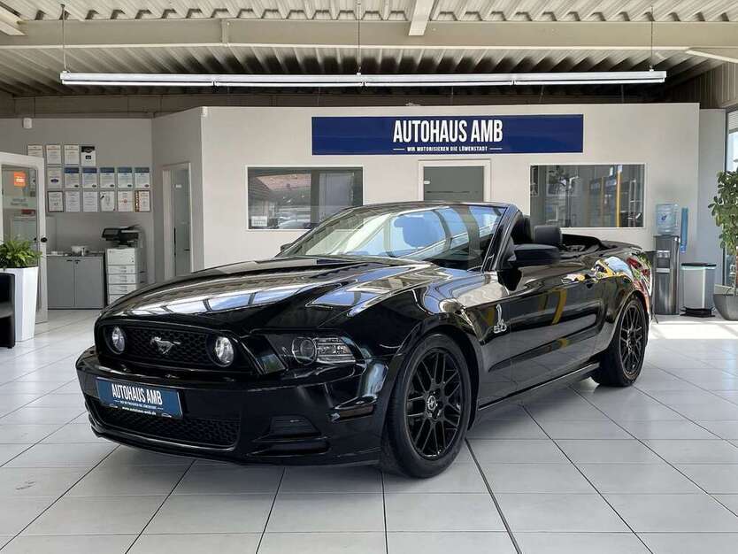 Mustang