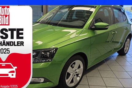 Skoda Fabia 120.262 km 7.400 € Wolfsburg-Heiligendorf 38444