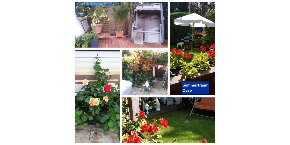 Einfamilienhaus Wesendorf - 3 Zimmer, 40 m&sup2;, 65.111&euro; | Angebot:26238076