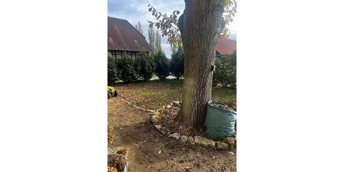 Einfamilienhaus Lehre - 5 Zimmer, 187 m&sup2;, 1.750&euro; | Angebot:26609584