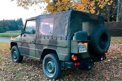 Mercedes G 250