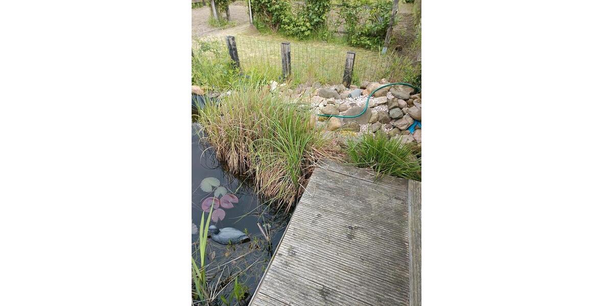 Grundstück Cremlingen - 500&euro; | Angebot:26618162