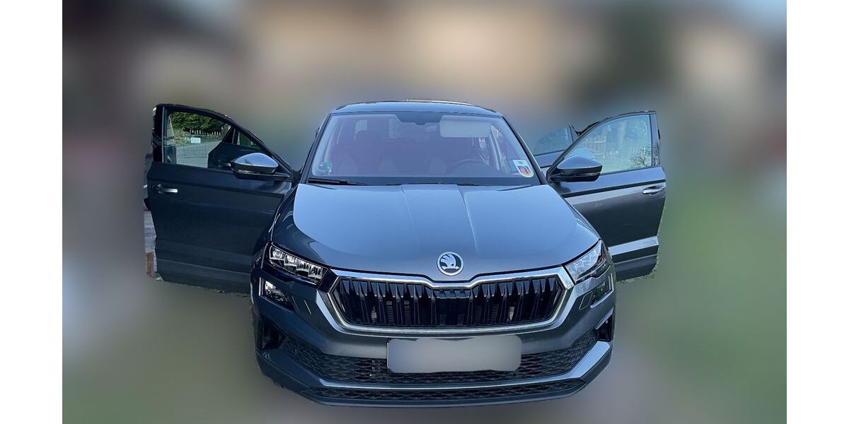 Skoda Karoq 40.000 km 27.500 € Sassenburg 38524