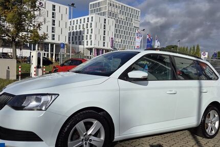Skoda Fabia 124.038 km 8.989 € Wolfsburg 38446