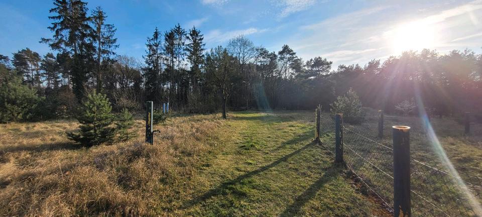 Einfamilienhaus Meinersen - 7 Zimmer, 200 m&sup2;, 425.000&euro; | Angebot:27002380