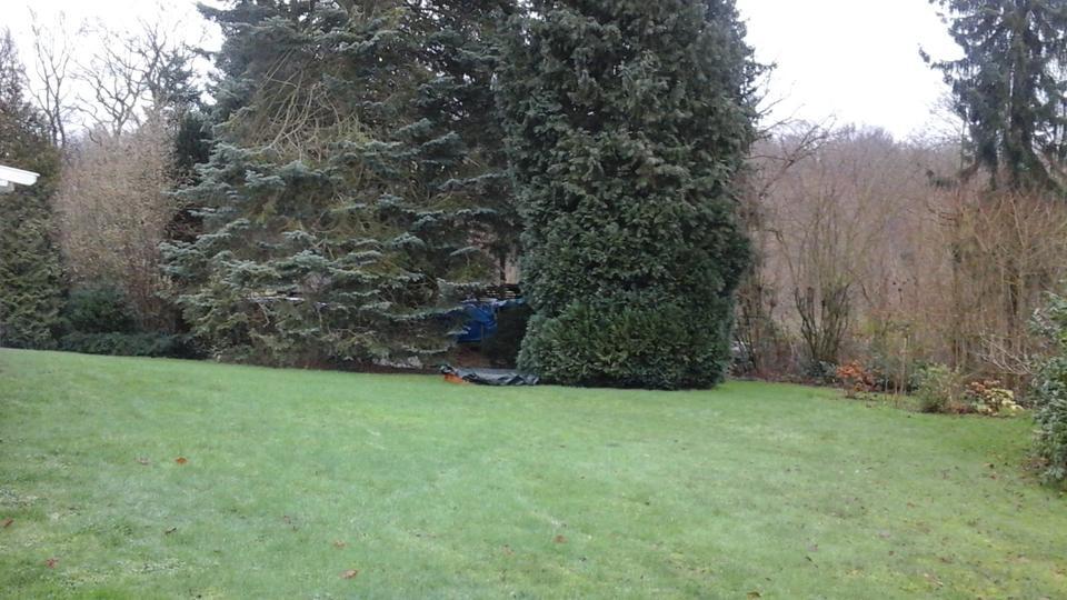Haus in Wolfsburg Ehmen Waldrandlage mit grossem Grundstück