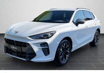 Gebrauchtwagen Cupra Terramar