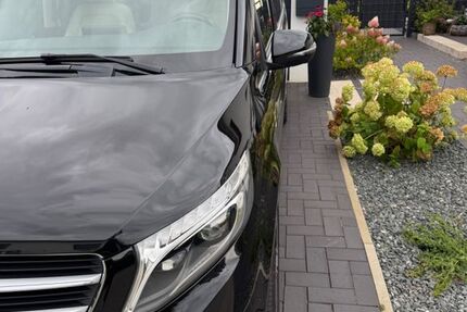 Mercedes V 250