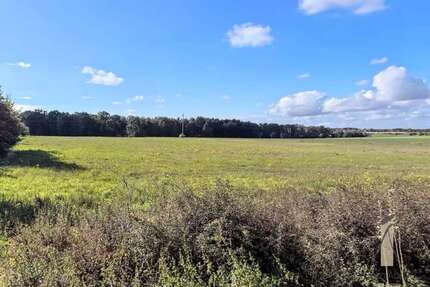 Grundstück zu verkaufen in Osloß 201.000 € 804 m² zimmer