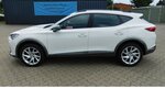 Cupra Formentor 1.5 TSI BMT Klima LED Alu 18.400 km 21.990 € Vordorf 38533