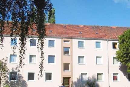 Wohnung Braunschweig Westliches Ringgebiet - 2 Zimmer, 53 m&sup2;, 390&euro; | Angebot:26548997