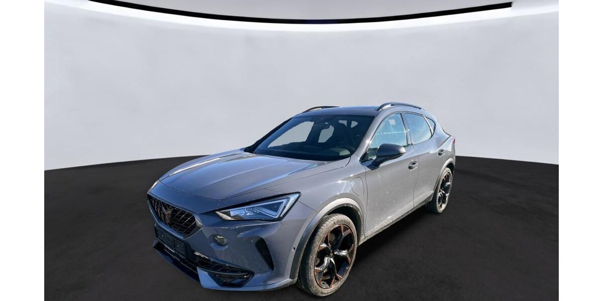 Cupra Formentor 132.826 km 22.990 &euro; Braunschweig 38122