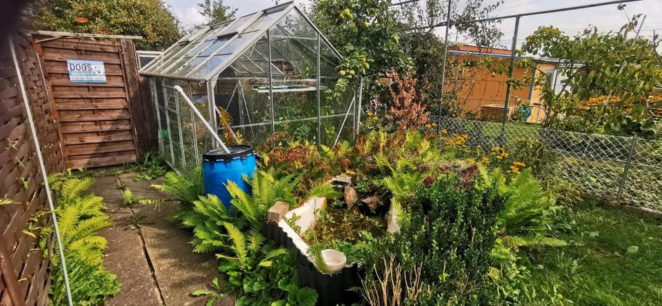 Grundstück Wolfsburg Ehmen - 3.500&euro; | Angebot:26295397