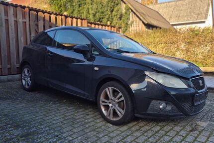 Seat Ibiza 220.000 km 1.990 € Tappenbeck 38479