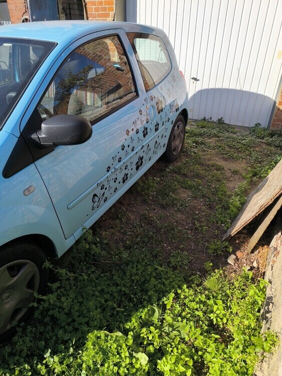 Renault Twingo 120.000 km 3.500 € Wendeburg 38176