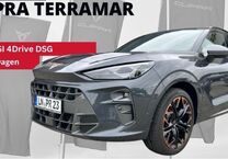 Gebrauchtwagen Cupra Terramar