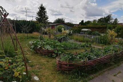 Grundstück Braunschweig Südstadt- Rautheim- Mascherode - 300&euro; | Angebot:22465574