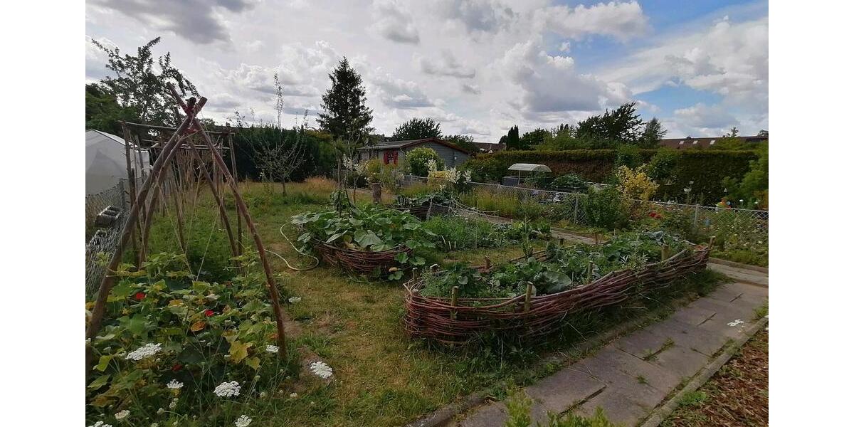 Grundstück Braunschweig Südstadt- Rautheim- Mascherode - 300&euro; | Angebot:22465574